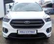 Ford Kuga ST-Line AHK EcoBoost Automatik Winterpaket Weiß - thumbnail 18