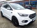 Ford Kuga ST-Line AHK EcoBoost Automatik Winterpaket Weiß - thumbnail 17