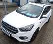 Ford Kuga ST-Line AHK EcoBoost Automatik Winterpaket Weiß - thumbnail 19