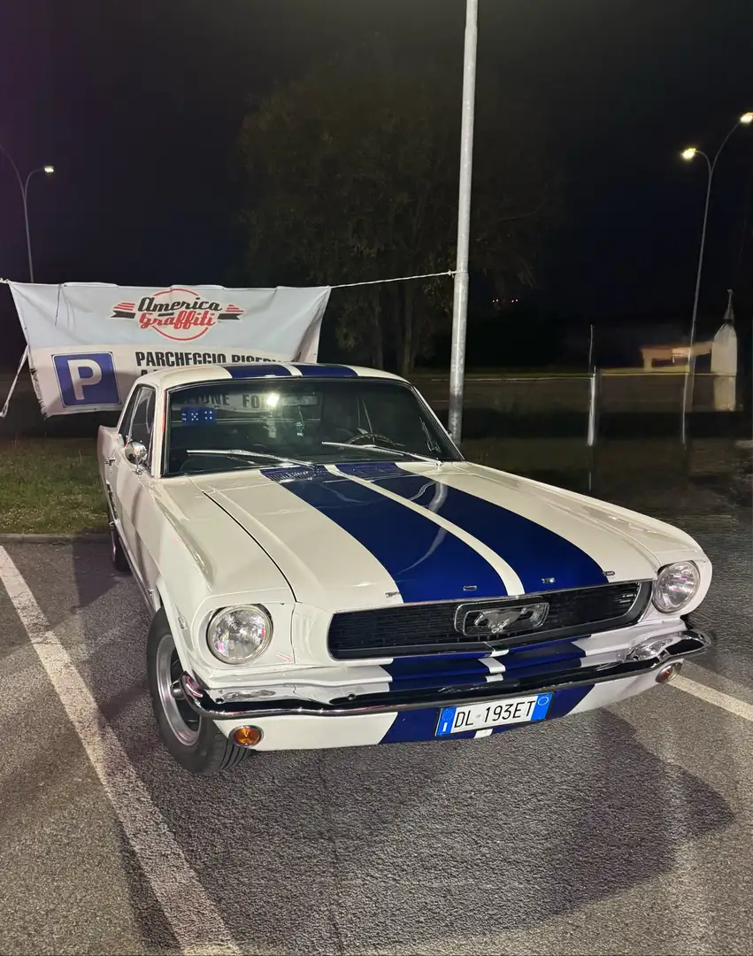 Ford Mustang 289 V8 4700 cc Tributo GT 350 - 1