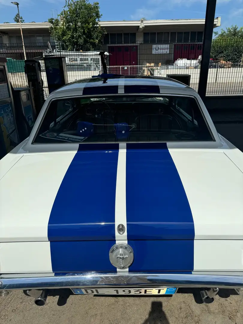 Ford Mustang 289 V8 4700 cc Tributo GT 350 - 2