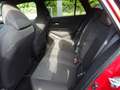 Toyota Corolla Hybrid Team D Rot - thumbnail 15