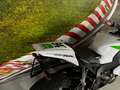 Honda CBR 1000 RR FIREBLADE SC59 Blanco - thumbnail 13