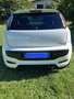 Fiat Punto Evo Punto III 2009 Evo 3p 1.3 mjt Sport s Bianco - thumbnail 6