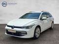 Volkswagen Golf Variant Business TDI Weiß - thumbnail 1
