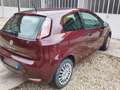 Fiat Punto Evo 3p 1.2 Rosso - thumbnail 2