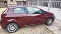 Fiat Punto Evo 3p 1.2 Rosso - thumbnail 7