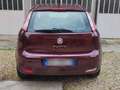 Fiat Punto Evo 3p 1.2 Rosso - thumbnail 4