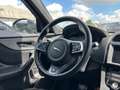 Jaguar F-Pace R-Sport AWD Gris - thumbnail 14