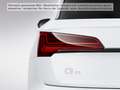 Audi Q5 SUV S line 40 TDI quattro 150(204) kW(PS) S t Weiß - thumbnail 7