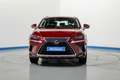 Lexus NX 300 300h Business Navigation 2WD Rojo - thumbnail 2