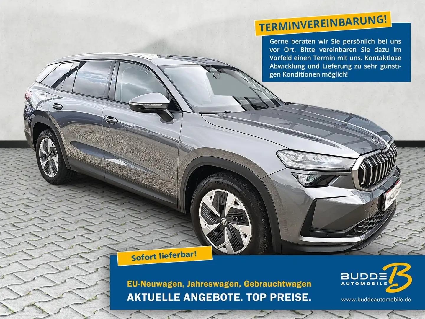 Skoda Kodiaq 1.5 TSI DSG Selection Matrix Leder Kessy Grey - 1