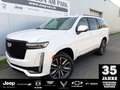Cadillac Escalade Sport Platinum 6.2 V8 Weiß - thumbnail 1
