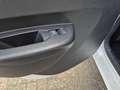 Dacia Spring Business Blanc - thumbnail 17