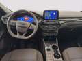 Ford Kuga 2.0 ecoblue ST-Line 2wd 120cv auto Bleu - thumbnail 6