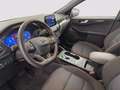 Ford Kuga 2.0 ecoblue ST-Line 2wd 120cv auto Bleu - thumbnail 14