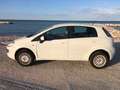 Fiat Punto Evo Punto Evo2009 5p 1.4 natural power Dynamic 70cv Bianco - thumbnail 4