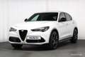 Alfa Romeo Stelvio Veloce 2.2 JTDM Q4 MATRIX ASSISTENZ 21 Zoll Weiß - thumbnail 42