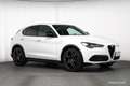 Alfa Romeo Stelvio Veloce 2.2 JTDM Q4 MATRIX ASSISTENZ 21 Zoll Weiß - thumbnail 41