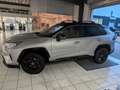 Toyota RAV 4 Hybrid 4x4 Style Selection Grau - thumbnail 4