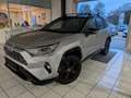 Toyota RAV 4 Hybrid 4x4 Style Selection Grau - thumbnail 3