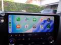 Lexus NX 300 Plug-in 4WD Luxury Gris - thumbnail 17