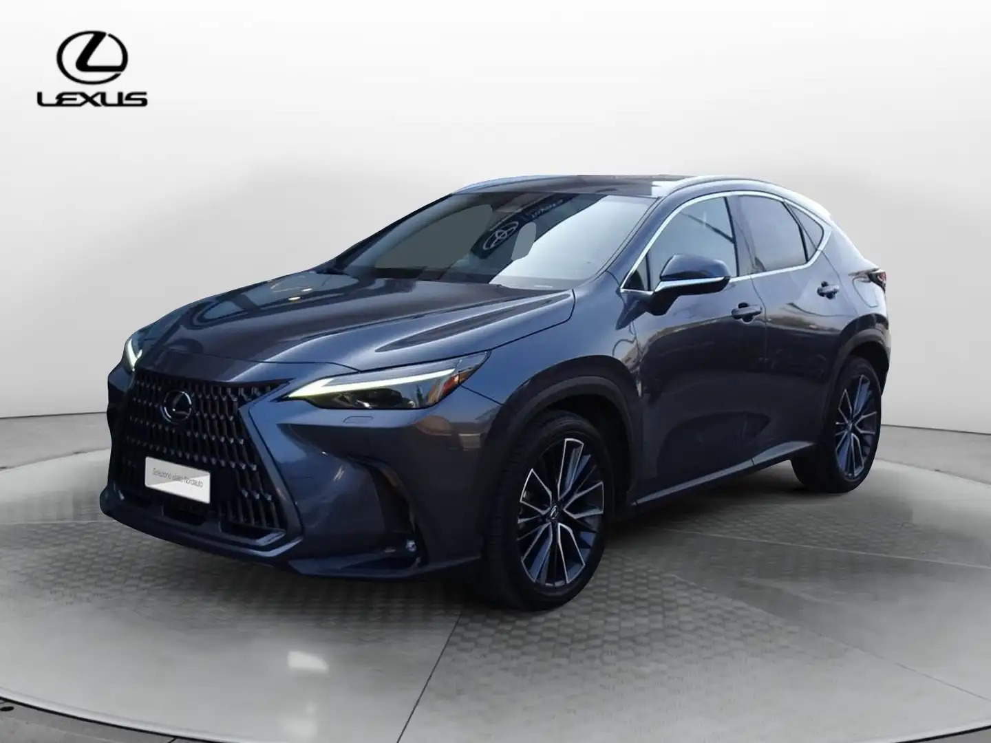 Lexus NX 300 Plug-in 4WD Luxury Gris - 1