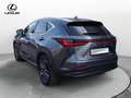 Lexus NX 300 Plug-in 4WD Luxury Gris - thumbnail 7