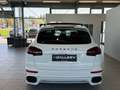 Porsche Cayenne II Platinum Edition Aut.*Sport-Design*PDLS*Bose Weiß - thumbnail 6