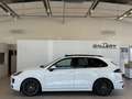 Porsche Cayenne II Platinum Edition Aut.*Sport-Design*PDLS*Bose Weiß - thumbnail 1
