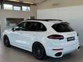 Porsche Cayenne II Platinum Edition Aut.*Sport-Design*PDLS*Bose Weiß - thumbnail 8