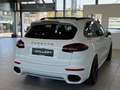 Porsche Cayenne II Platinum Edition Aut.*Sport-Design*PDLS*Bose Weiß - thumbnail 5