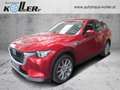 Mazda CX-60 /3,3/ D200 / Exclusive-Line Modell 2026 Rot - thumbnail 1