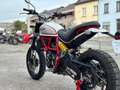 Ducati Scrambler Desert Sled | "A2-35Kw" Blanc - thumbnail 9