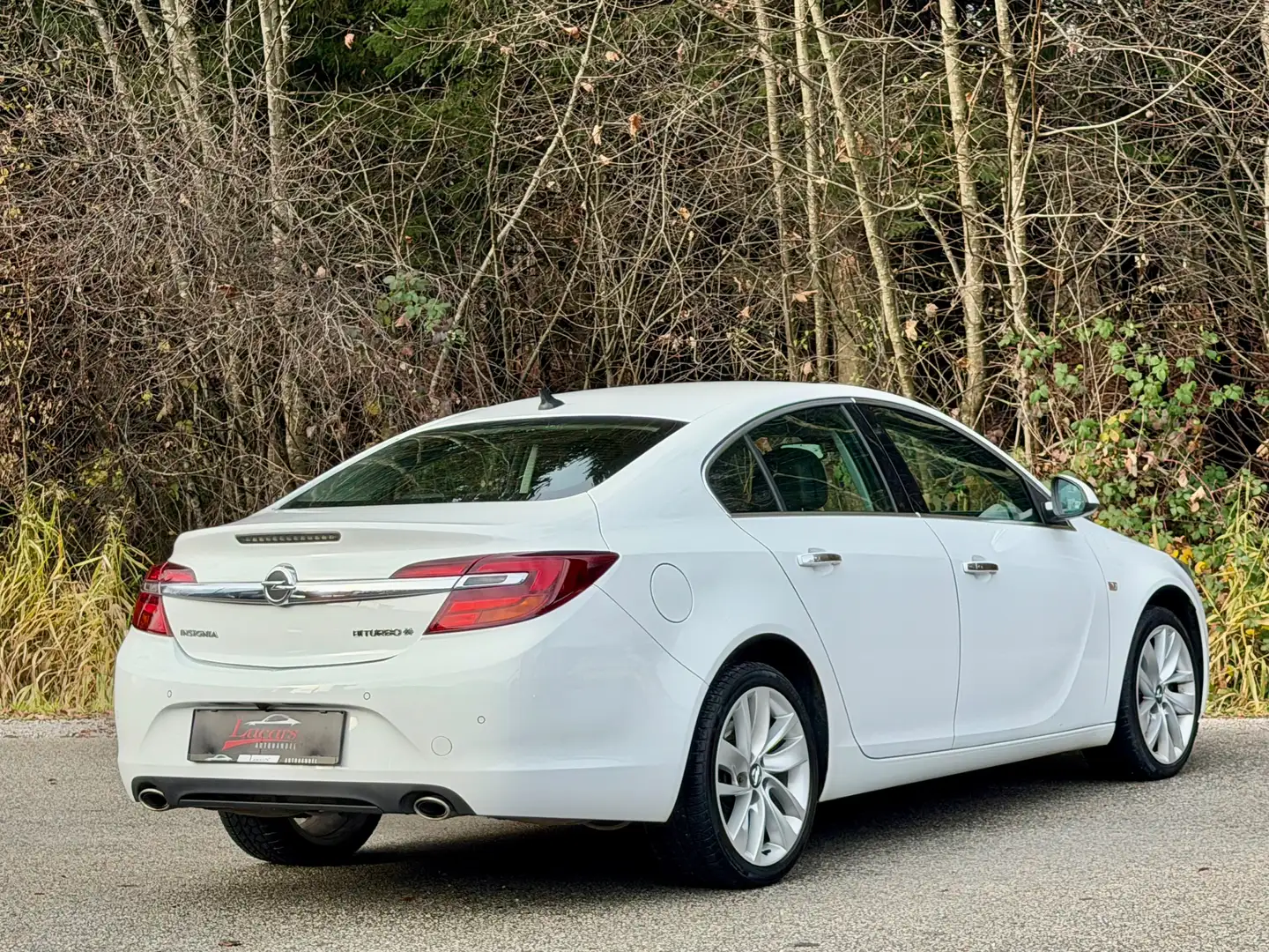 Opel Insignia Innovation 4x4 Aut LEDER*NAVI*SITZH*RFKAM*BI-XENON Bianco - 2