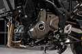 QJ Motor SrT 700sx inkl. Koffersystem, sofort lieferbar Красный - thumbnail 18