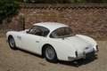 Talbot Lago T14 V8 America Coupe PRICE REDUCTION! The las Weiß - thumbnail 44