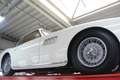 Talbot Sonstige Lago T14 V8 America Coupe The last "T14 America"-e Weiß - thumbnail 8