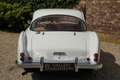 Talbot Sonstige Lago T14 V8 America Coupe The last "T14 America"-e Weiß - thumbnail 30