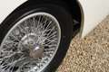 Talbot Sonstige Lago T14 V8 America Coupe The last "T14 America"-e Weiß - thumbnail 12