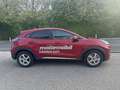 Ford Puma 1,0 EcoBoost Hybrid Titanium X Rot - thumbnail 3