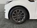 Land Rover Range Rover Sport 3.0d i6 mhev Dynamic SE awd 300cv auto Bianco - thumbnail 2