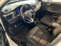 Kia Rio KIA Rio Titan1,25MPI Weiß - thumbnail 7