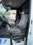 Mercedes-Benz Sprinter II Kasten 316 CDI * L2H3 * AHK 3500 KG Weiß - thumbnail 12