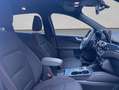 Ford Kuga 2.5 Duratec PHEV ST-LINE Wit - thumbnail 20
