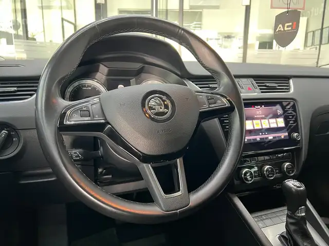 Skoda Octavia view 28