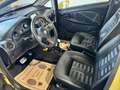 Casalini M20 -550 GranSport * 2-Zylinder-Kohler-Motor * Gold - thumbnail 7