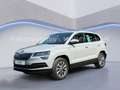 Skoda Karoq Clever 4x4 2.0 TDI 110kW RFK SHZ Grau - thumbnail 1