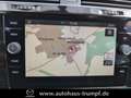 Volkswagen Golf VII Variant  1.5 TSI Highline R-line NAVI Panorama Wit - thumbnail 20