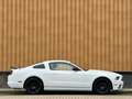 Ford Mustang USA 3.7 V6 | Navigatie | Bluetooth | Cruise Contro Blanc - thumbnail 4